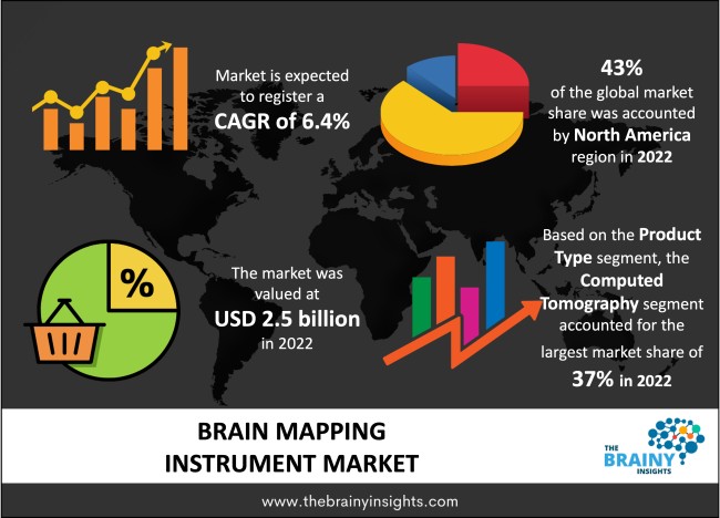 Brain Mapping Instrument Market Size